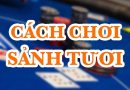 Cách chơi hiệu quả khi hit sảnh tươi