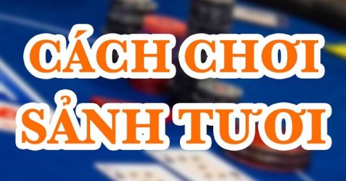 Cách chơi hiệu quả khi hit sảnh tươi