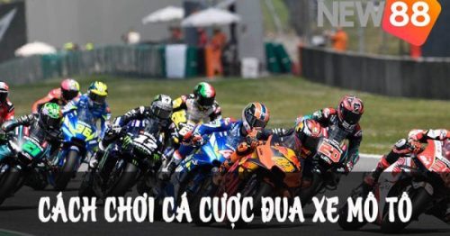 Cách chơi cá cược đua xe mô tô chi tiết nhất hiện nay