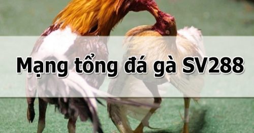 Đánh giá svsv288 com – Mạng tổng đá gà uy tín