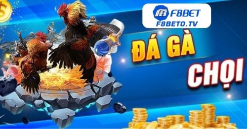 Hướng dẫn cách chơi và xử lý khi lỗi tại sảnh đá gà F8BET