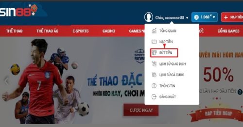 Nạp Rút Tiền Sin88 Có An Toàn Không, Giao Dịch Thế nào?