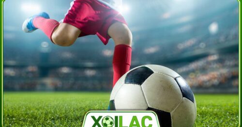 Xoilac TV: Sự lựa chọn thông minh cho những người yêu thể thao